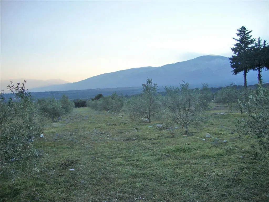 Land Of 4300 M² On The Olympic Coast