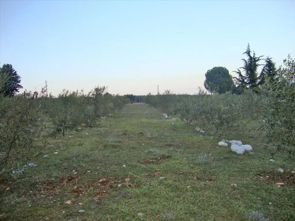 Land Of 4300 M² On The Olympic Coast