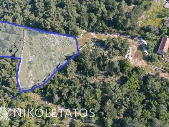 Plot Of 1000 M² In Halikeri, Greece
