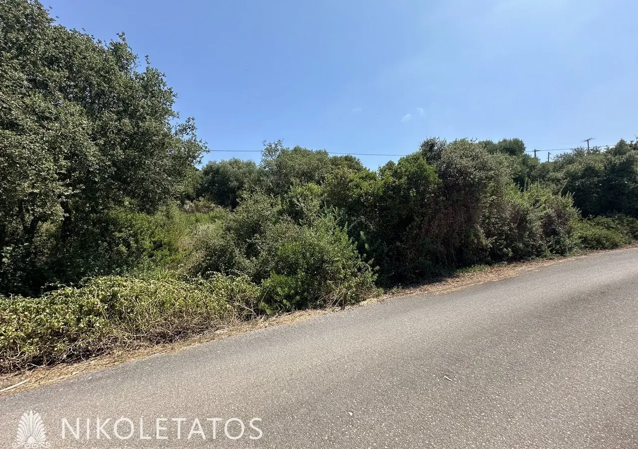 Land Of X In Antipata, Greece