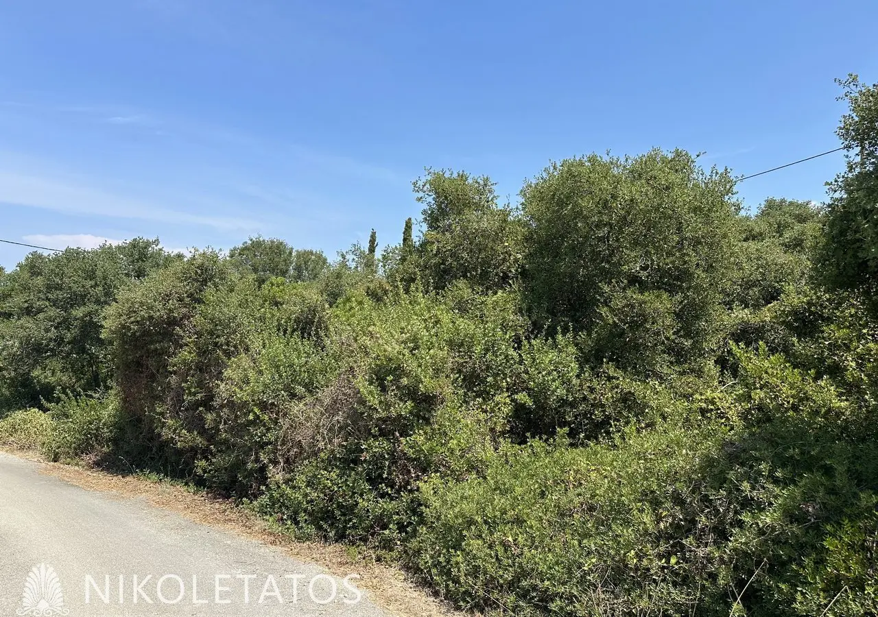 Land Of X In Antipata, Greece