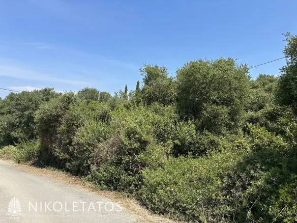 Land Of X In Antipata, Greece