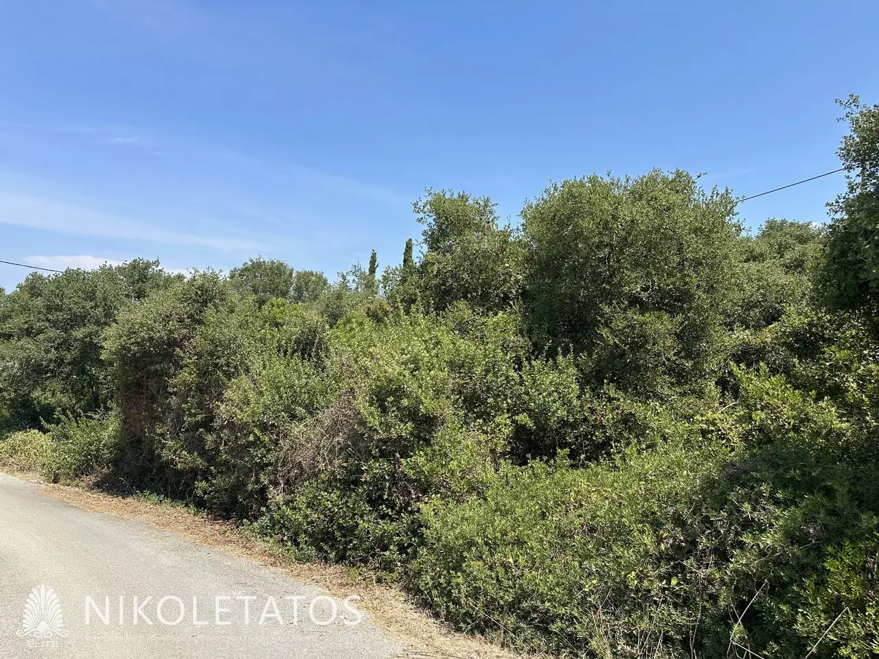 Land Of X In Antipata, Greece