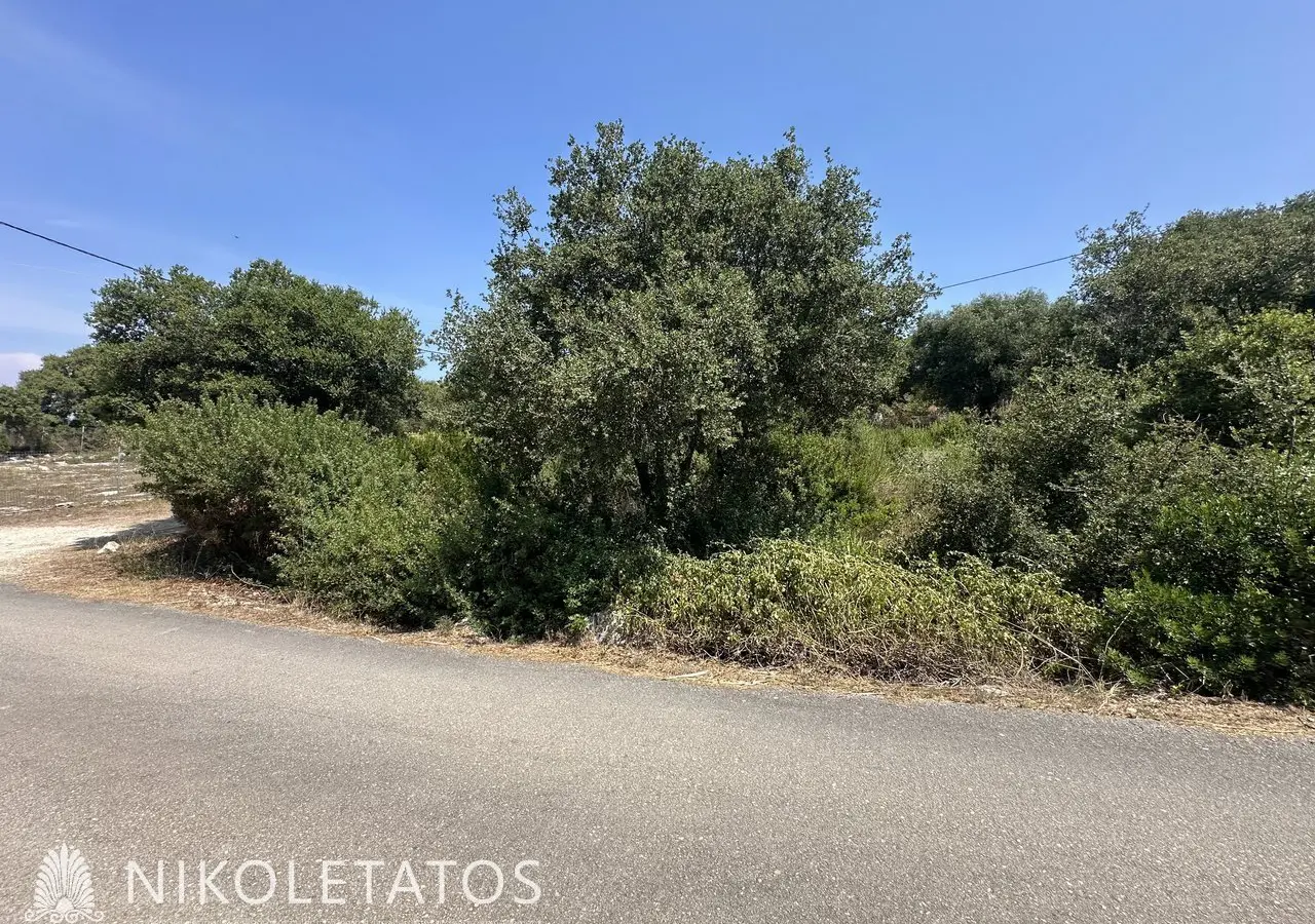 Land Of X In Antipata, Greece