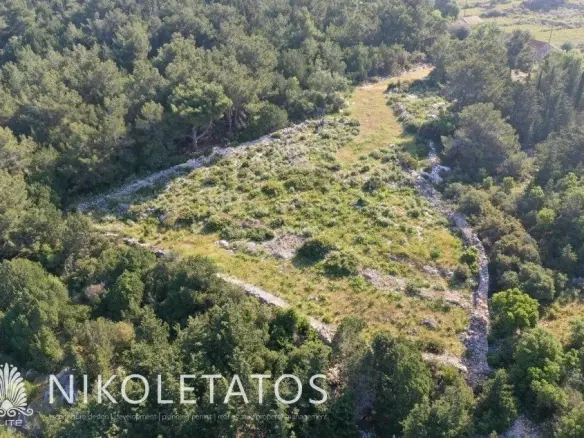 Plot Of 1000 M² In Halikeri, Greece