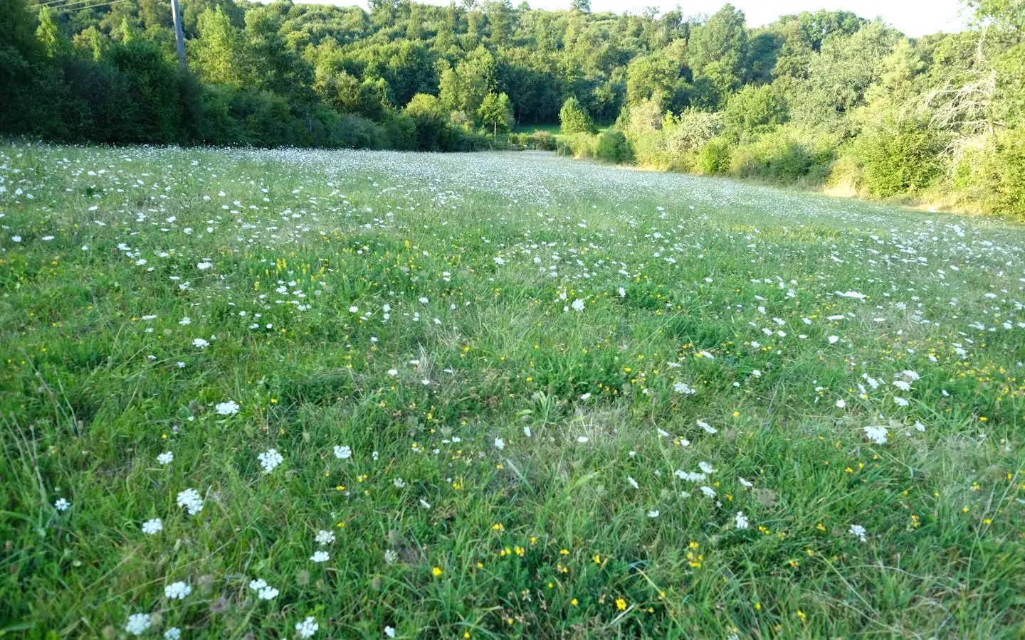 Watermill Of 80000 M² With Stream, Lake, Waterfall, Woodland, Guest House In Charente