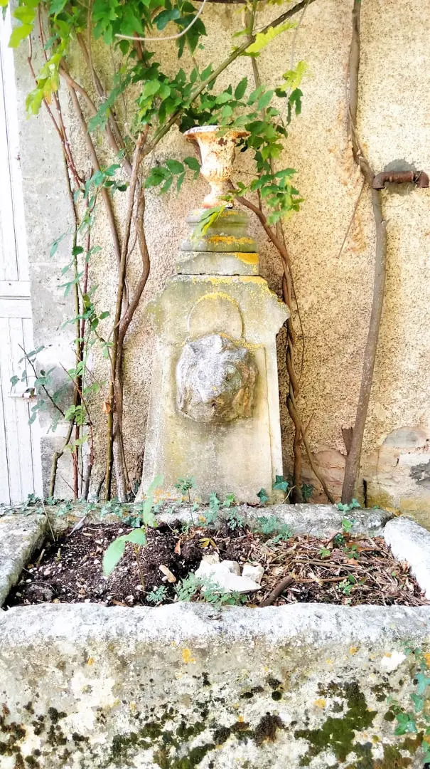 Maison De Maître Of 5 Bed With Pool, Gîte, Fast Internet In Nr. Angoulême