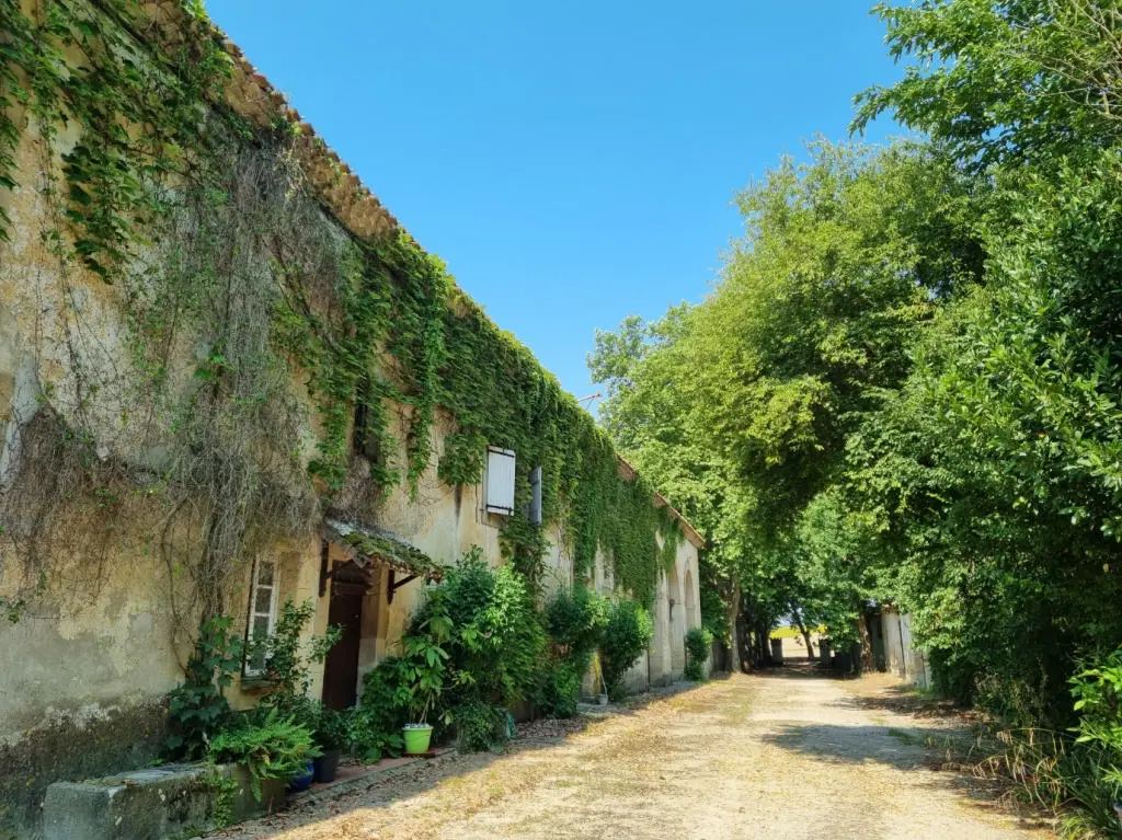 Aude. Authentic 16th Century Château, 3 Independent Cottages. 14 Acres.