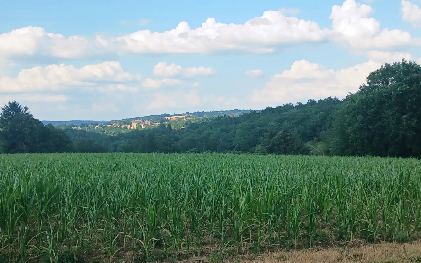 5-bedroom House In Jumilhac-le-grand, France (187 M²)