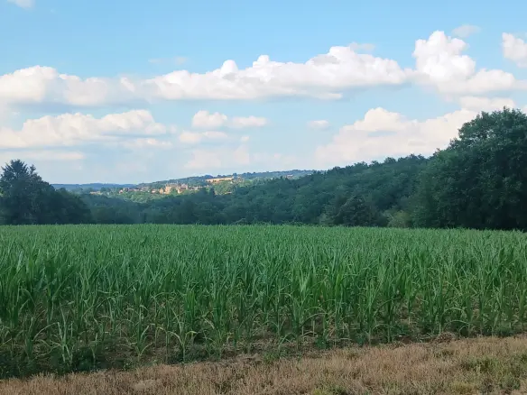 5-bedroom House In Jumilhac-le-grand, France (187 M²)