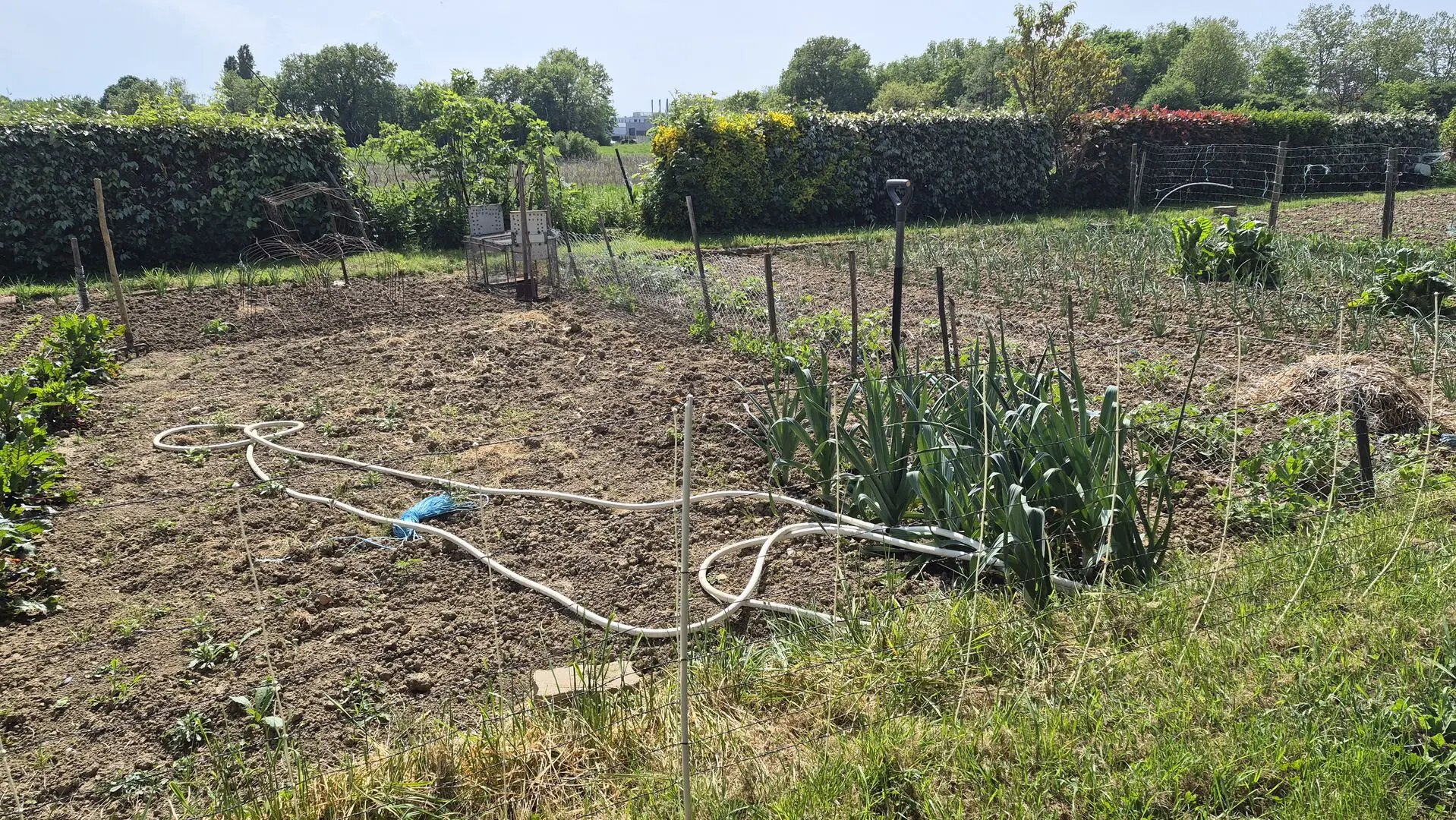 House Of 200 M² With Garden In Toulouse