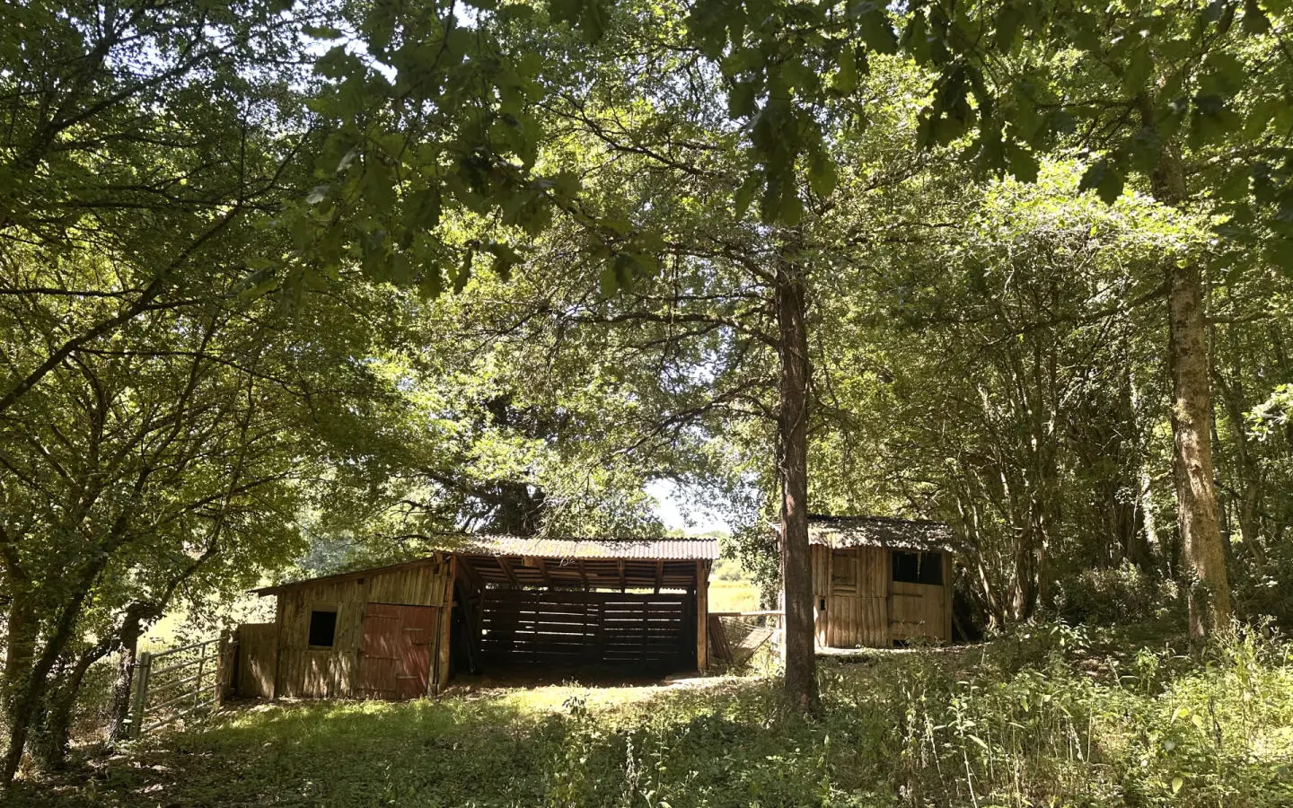 Historic Watermill, Views, Woods/stables/outbuildings, Income Potential, Nr. Nanteuil En Vallée, Charente