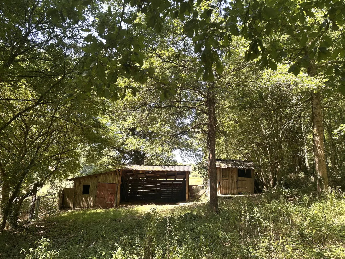 Historic Watermill, Views, Woods/stables/outbuildings, Income Potential, Nr. Nanteuil En Vallée, Charente