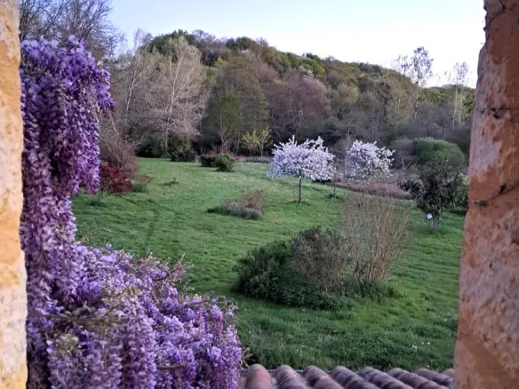 Watermill Of 80000 M² With Stream, Lake, Waterfall, Woodland, Guest House In Charente