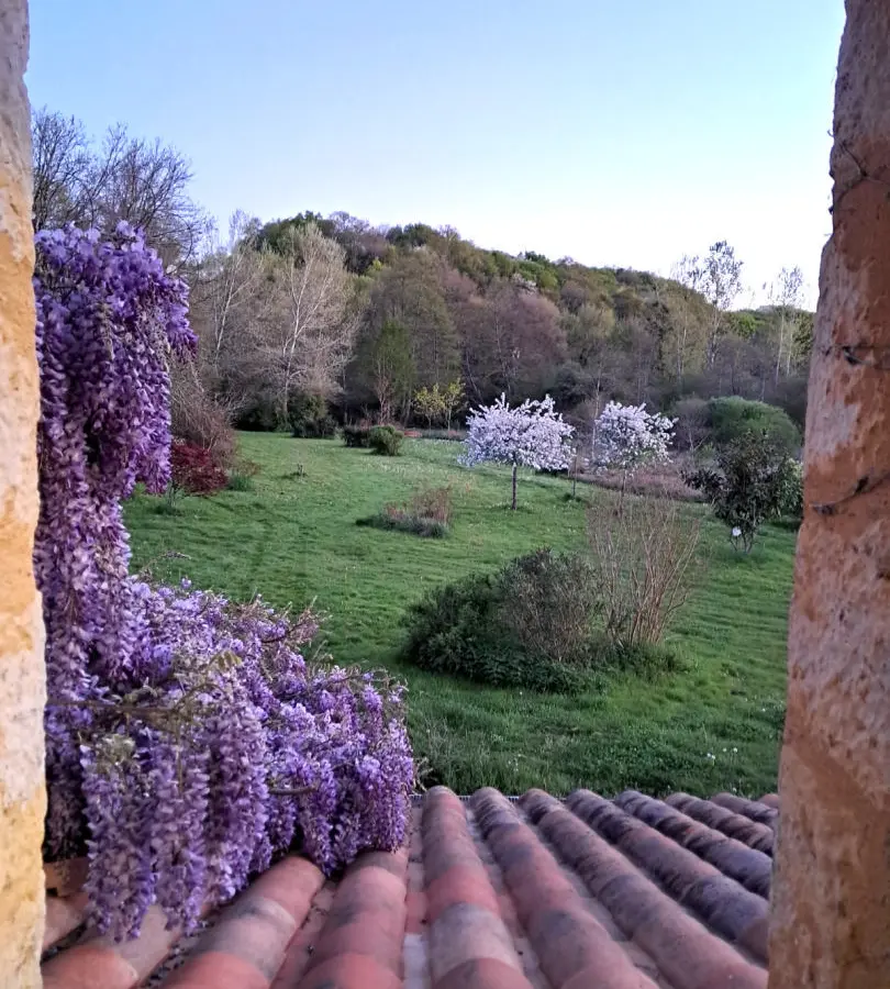 Watermill Of 80000 M² With Stream, Lake, Waterfall, Woodland, Guest House In Charente