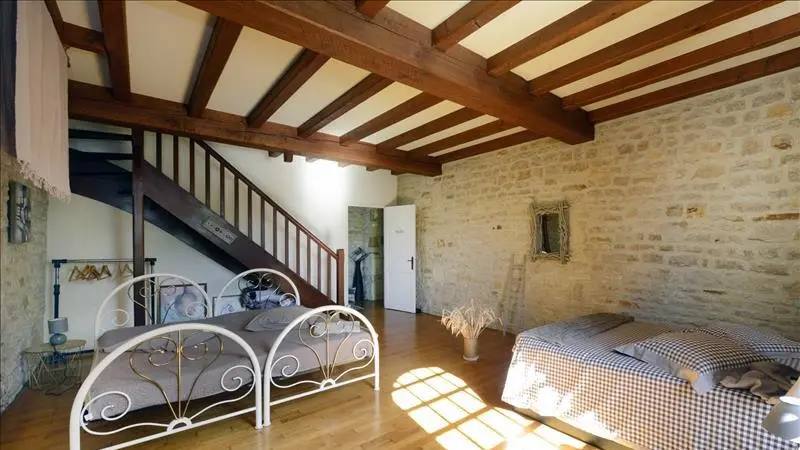 Old Stone Mill Of 500 M² With Private Island And River Views In Charente