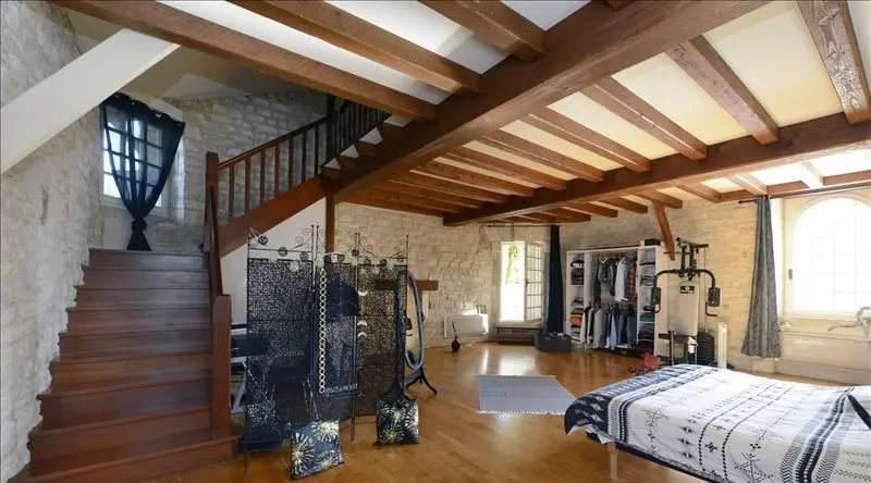 Old Stone Mill Of 500 M² With Private Island And River Views In Charente