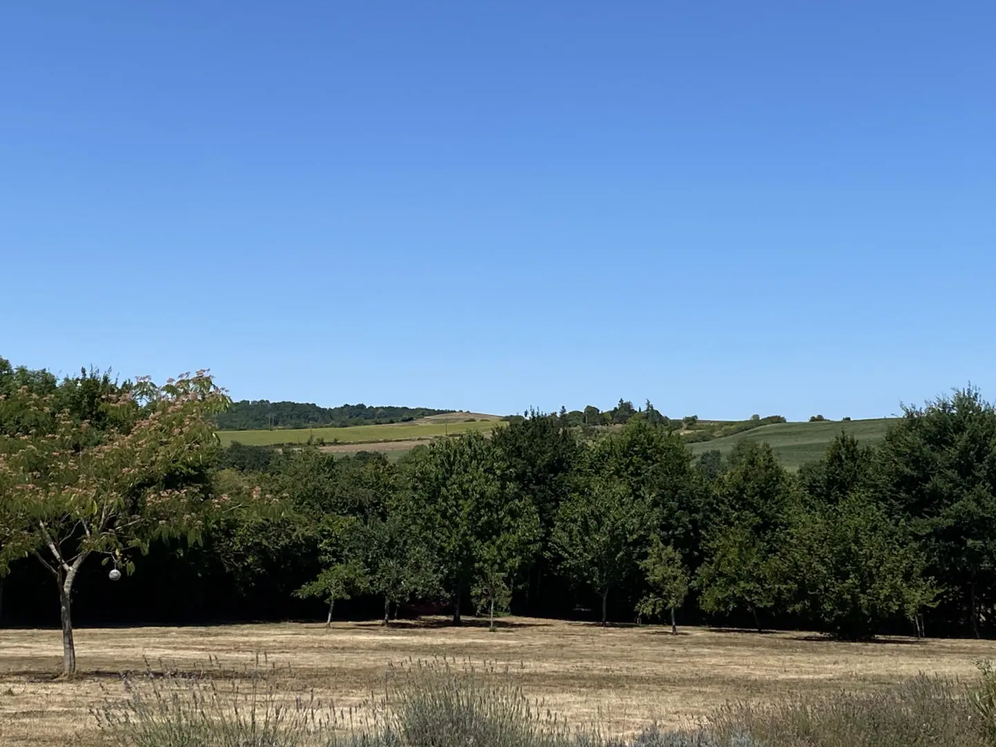 House Of 130 M² With Outbuildings And Land In Les Essards