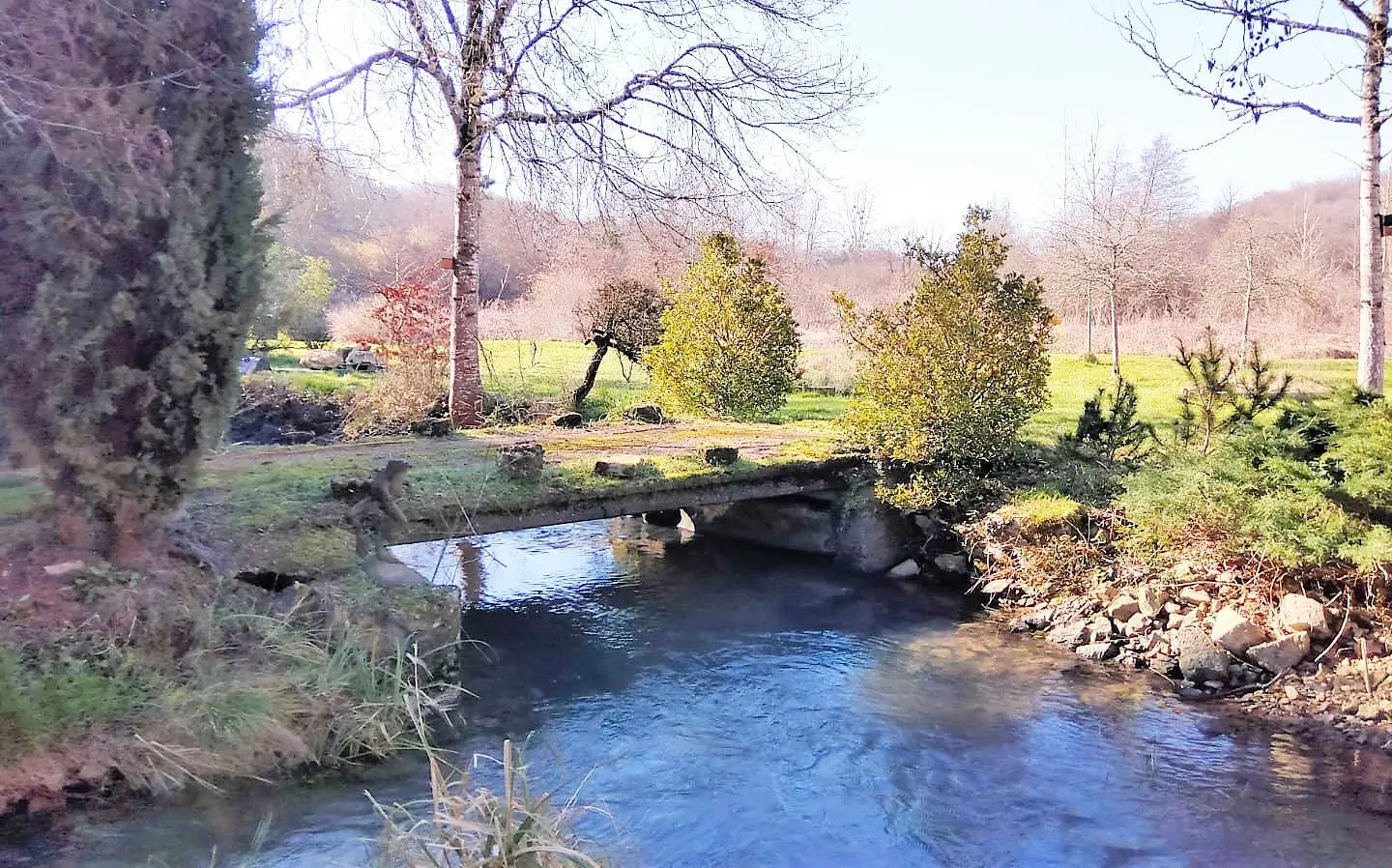 Watermill Of 80000 M² With Stream, Lake, Waterfall, Woodland, Guest House In Charente