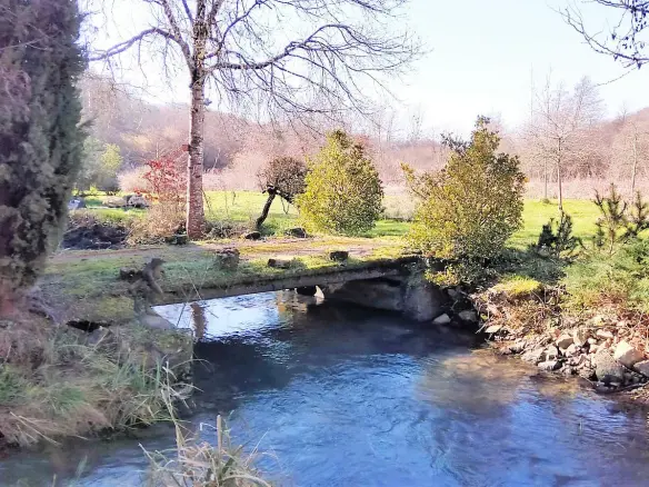 Watermill Of 80000 M² With Stream, Lake, Waterfall, Woodland, Guest House In Charente