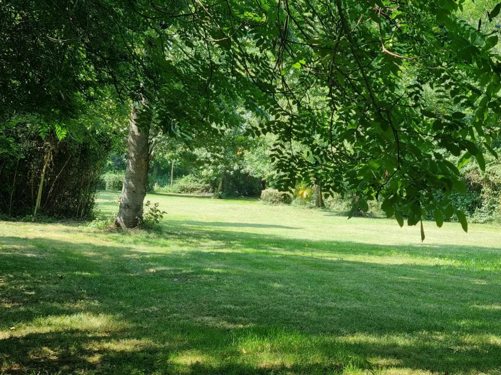Aude. Authentic 16th Century Château, 3 Independent Cottages. 14 Acres.
