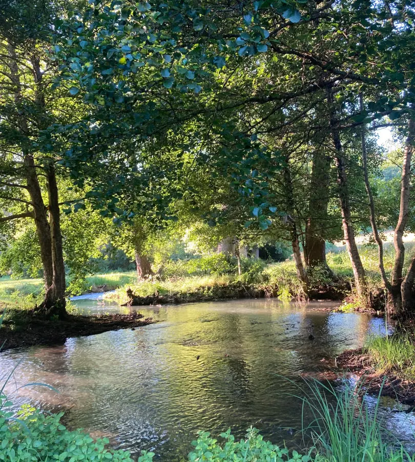 Historic Watermill, Views, Woods/stables/outbuildings, Income Potential, Nr. Nanteuil En Vallée, Charente