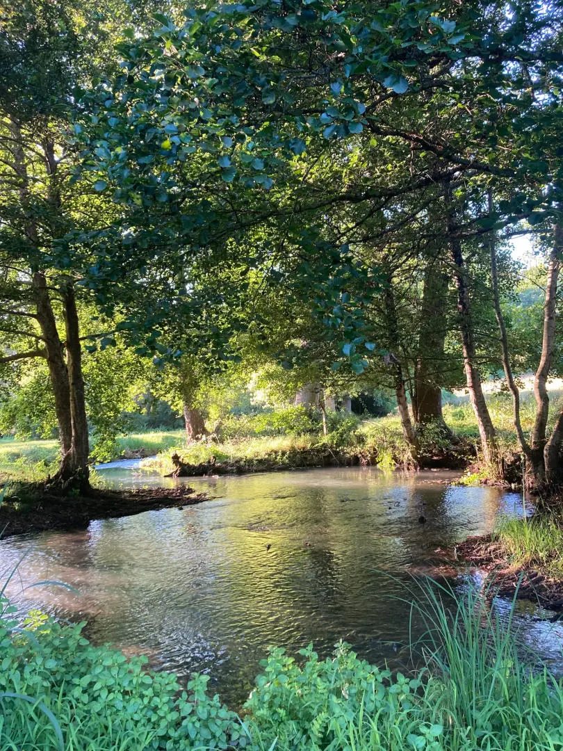 Historic Watermill, Views, Woods/stables/outbuildings, Income Potential, Nr. Nanteuil En Vallée, Charente