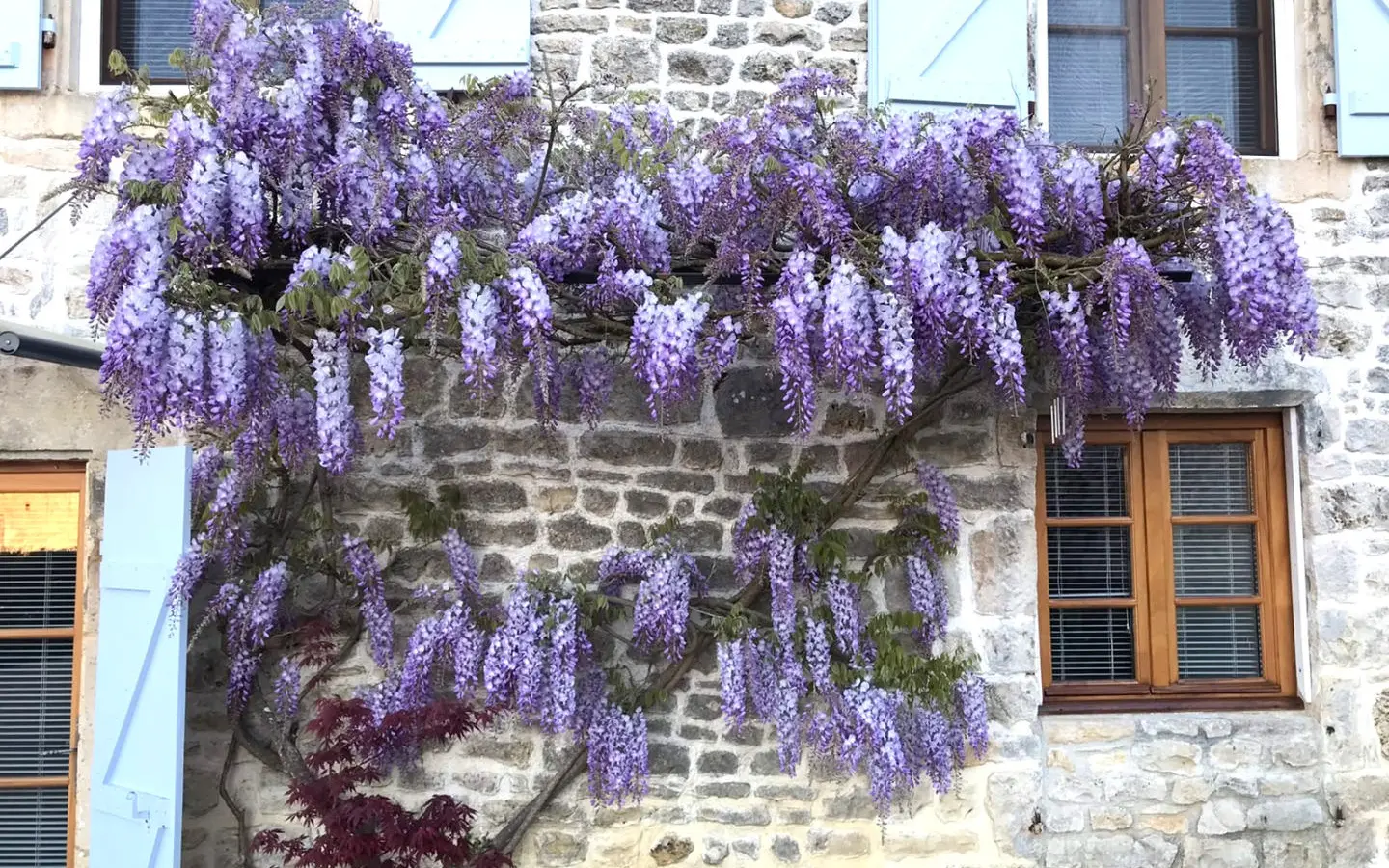 3-bedroom Country House In Poursac, France (240 M²)