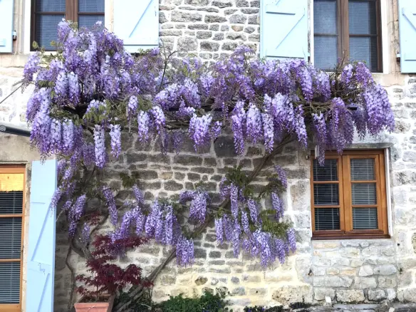 3-bedroom Country House In Poursac, France (240 M²)