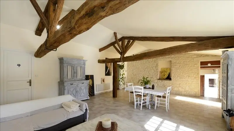 Old Stone Mill Of 500 M² With Private Island And River Views In Charente