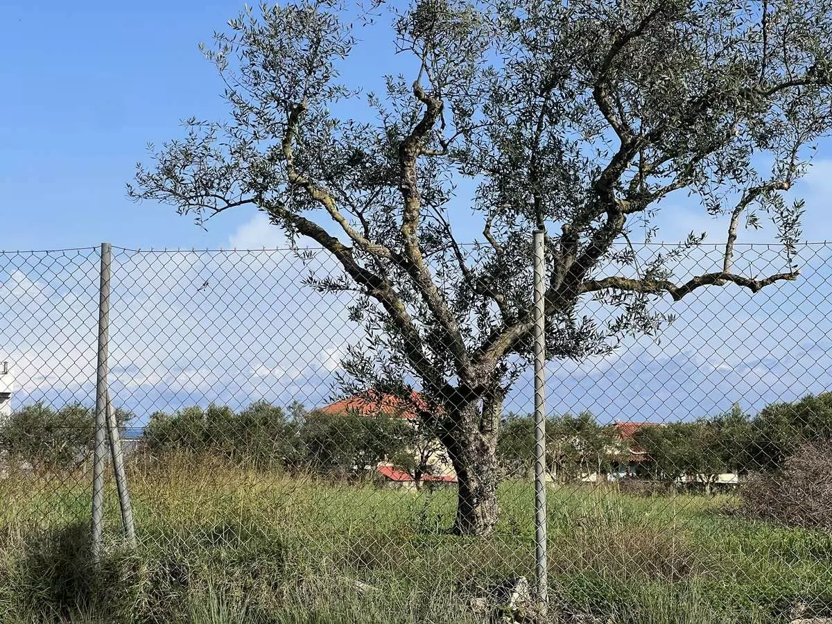 Plot In Zakynthos With Sea View, For Sale