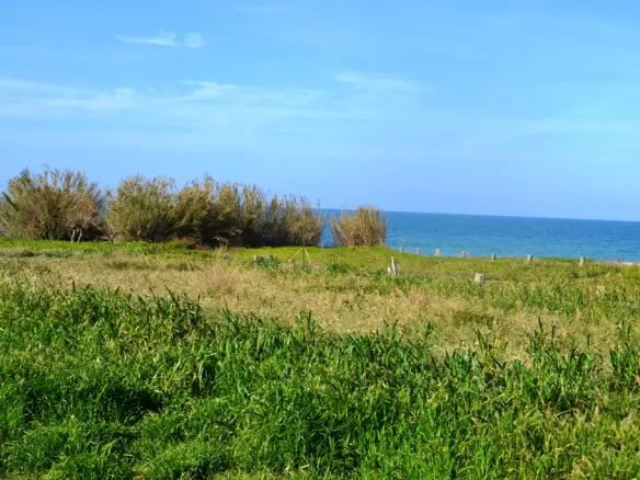 Land In Arkadi, Greece
