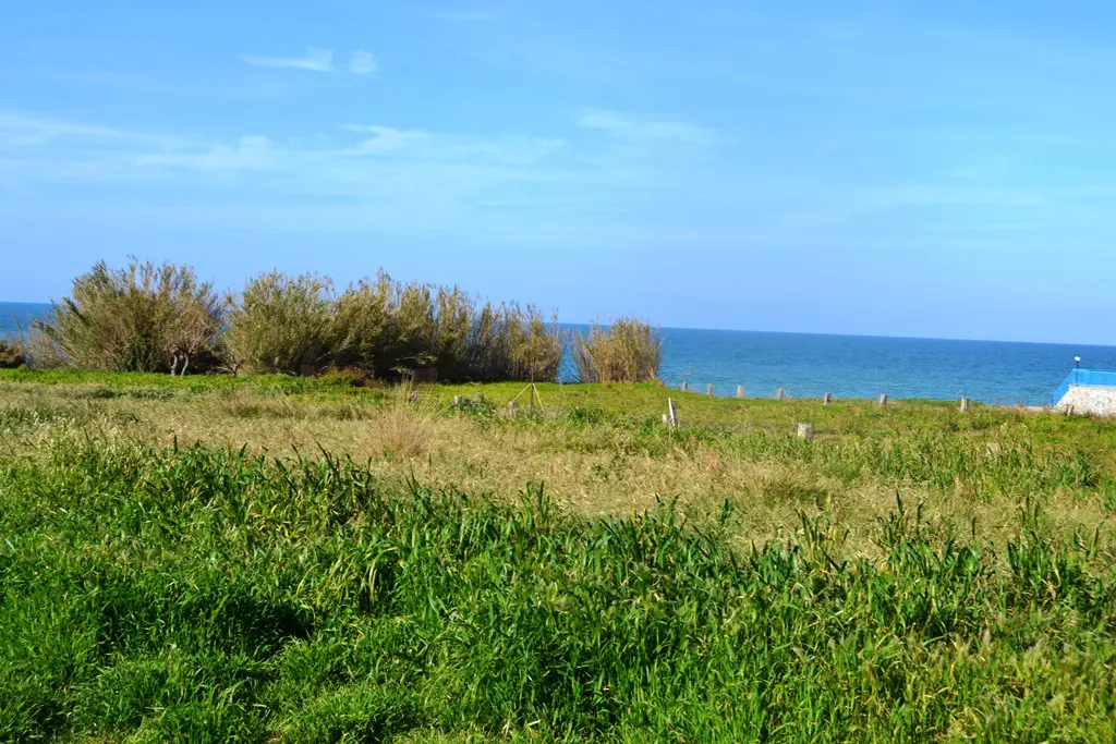 Land In Arkadi, Greece