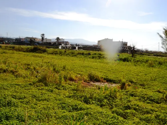 Land In Arkadi, Greece