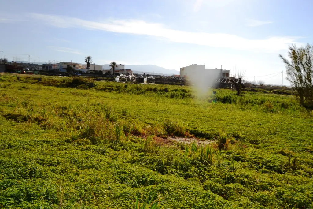 Land In Arkadi, Greece