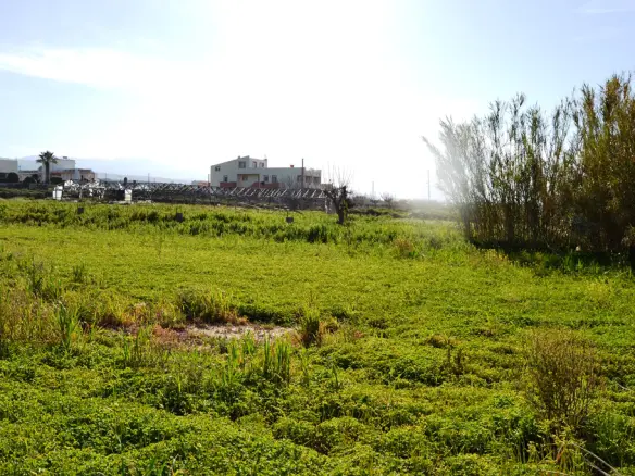 Land In Arkadi, Greece