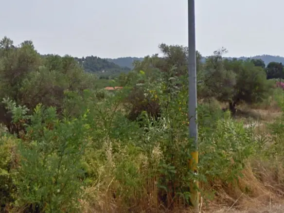 Land In Kassandra, Greece