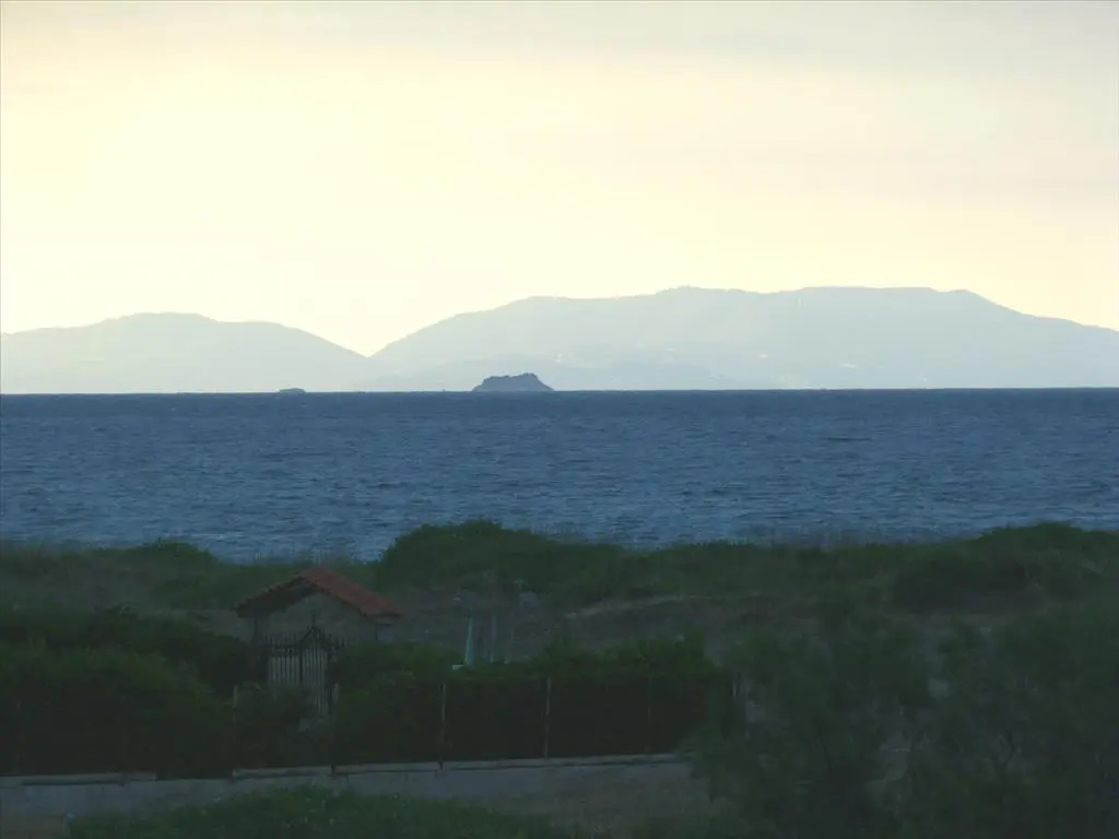 Business Of 1000 M² In Euboea Island