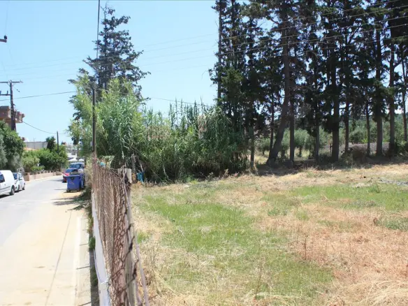 Land In Nea Kidonia, Greece
