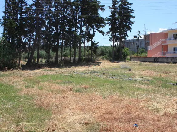 Land In Nea Kidonia, Greece