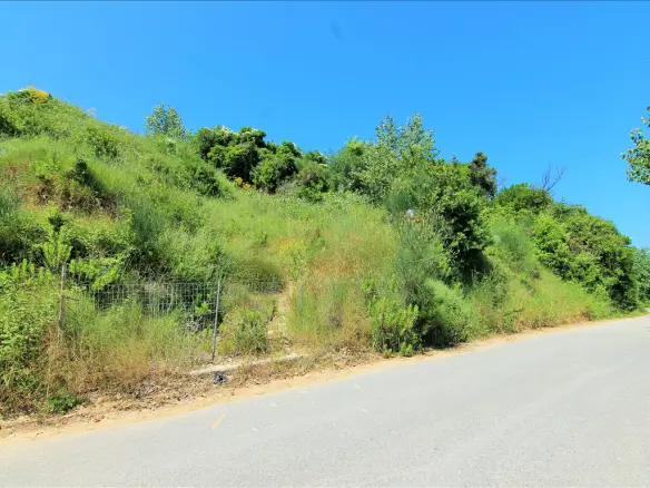 Land In Corfu, Greece