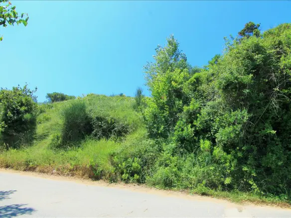 Land In Corfu, Greece
