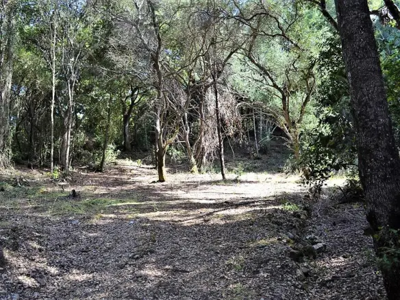 Land In Corfu, Greece