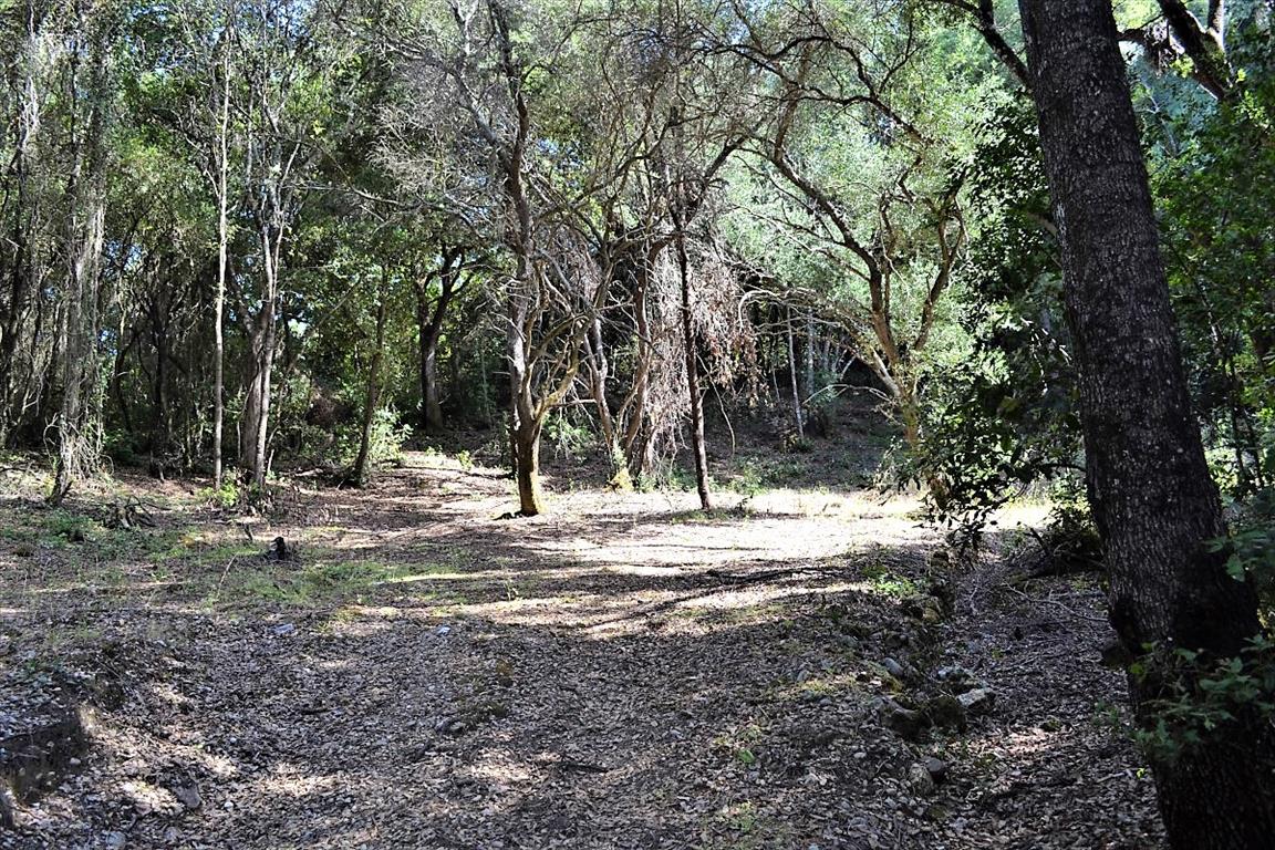 Land Of 33000 M² In Corfu