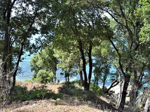 Land In Corfu, Greece