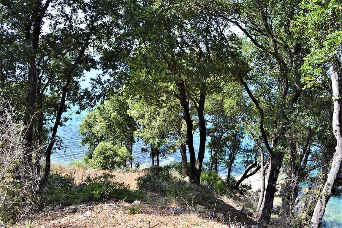 Land Of 33000 M² In Corfu