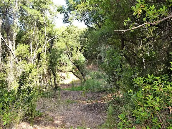 Land In Corfu, Greece