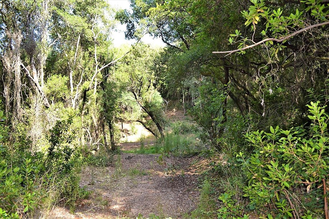 Land Of 33000 M² In Corfu