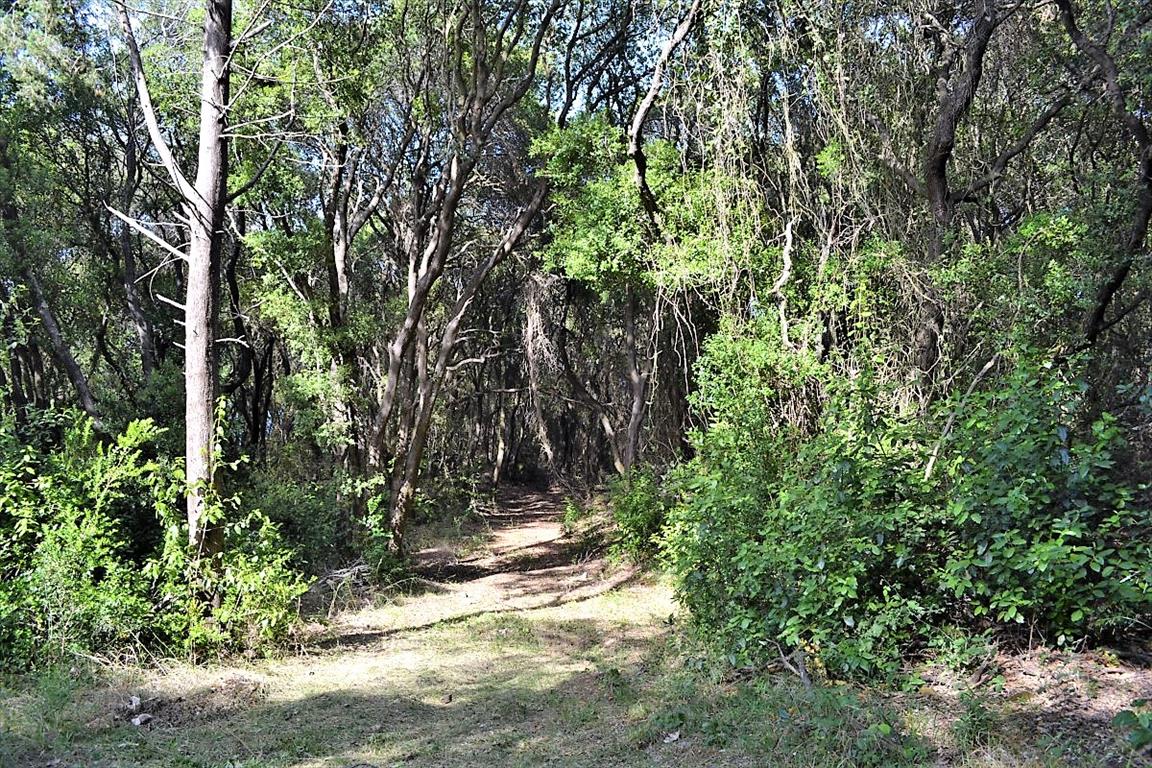 Land Of 33000 M² In Corfu