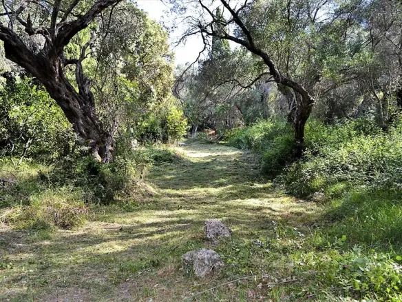 Land In Corfu, Greece